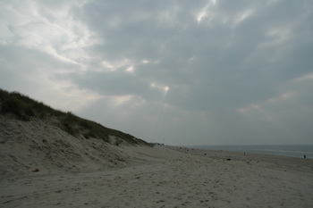 Texel dune